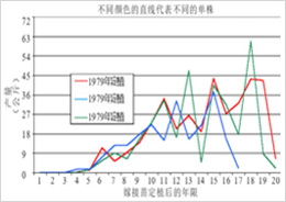 卡多碧根果